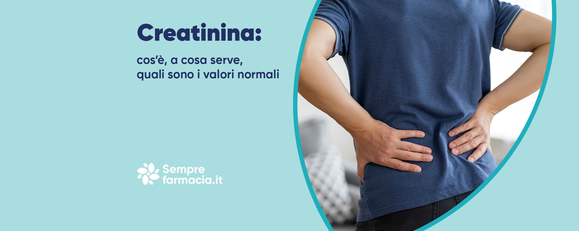Creatinina: cos'è, a cosa serve, quali sono i valori normali