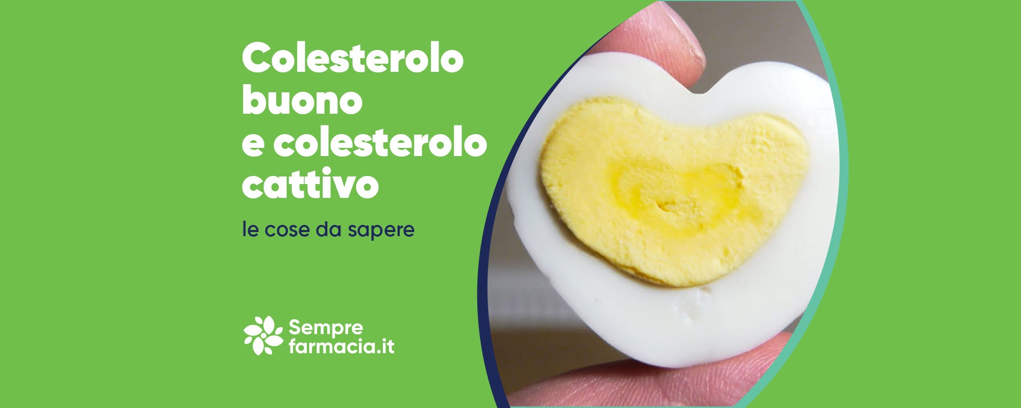 colesterolo