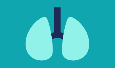 Categoria Vie respiratorie